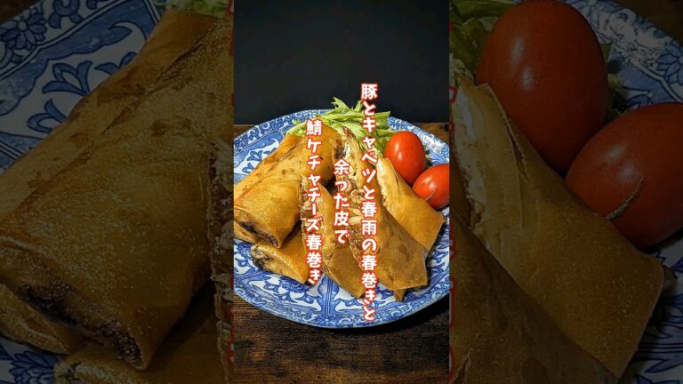 『春巻き』豚肉とキャベツと韓国春雨を入れた春巻き。残った皮で鯖ケチャチーズ春巻きも。#春巻き#揚げ物#shorts#springroll