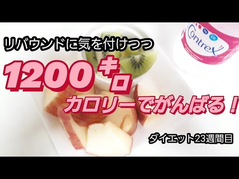 【標準体重に戻りたい】１ヶ月間1日1200キロカロリーで過ごして60kgになりたい！【ダイエット記録】