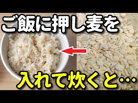ご飯に大麦押し麦を足して炊くと…麦ご飯の美容・健康効果５選！血糖値抑制・ダイエットにも効果的？健康雑学