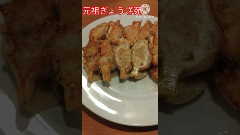 【神戸グルメ】創業昭和２６年味噌だれ発祥のお店『元祖ぎょうざ苑』餃子でビールを飲んじゃおう　#shorts