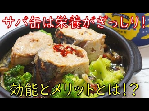 【衝撃】サバ缶の健康効果が凄かった！話題の鯖缶は脳・血液・目など栄養がぎっしり！知っておきたい健康雑学