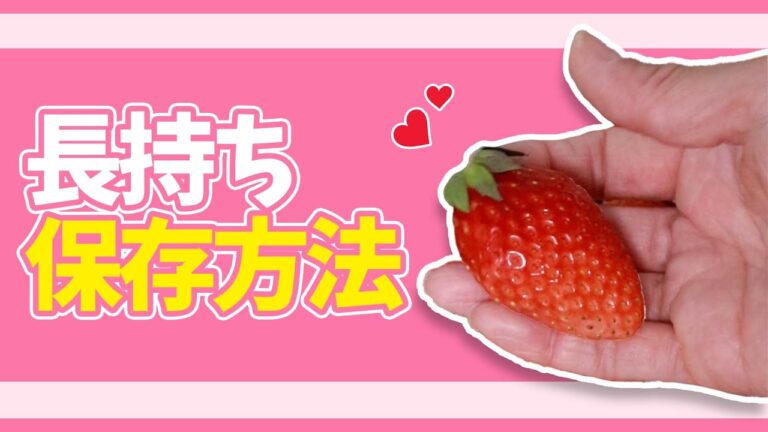より長持ちする！いちごの保存法🍓 #Shorts