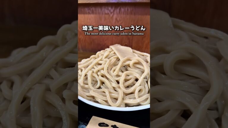 【絶品】埼玉一美味いカレーうどん【狭山市】