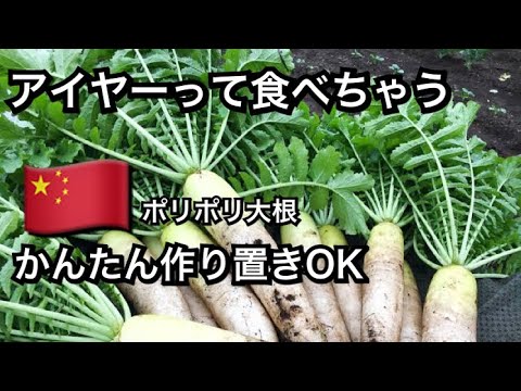 ポリポリ大根【作り置きOK】簡単な漬物、中華風