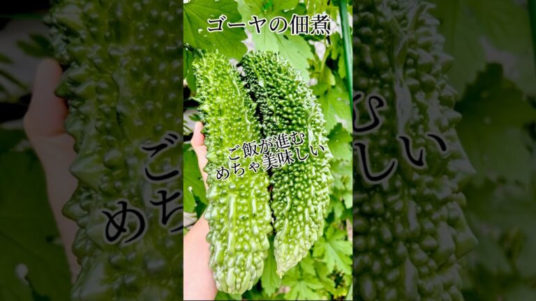 #shorts #料理 #ゴーヤ　ゴーヤの佃煮❤️娘達に伝えるレシピ💕