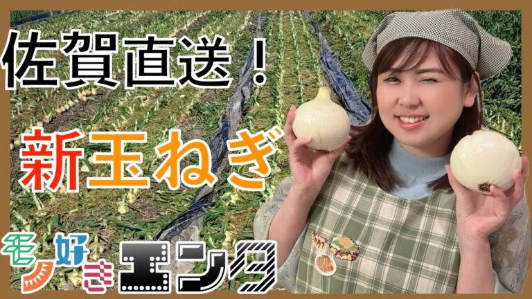 【新玉ねぎ】産地直送の佐賀県産レクスター1号を試食