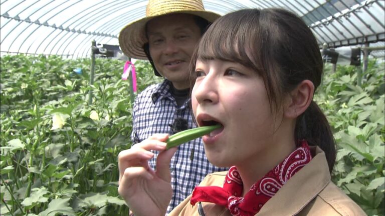 オクラ(2019年6月2日放送)