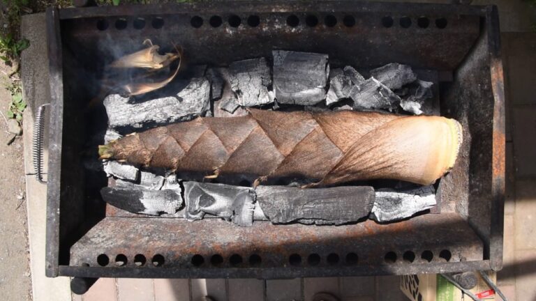 竹の子丸焼きバーベキュー