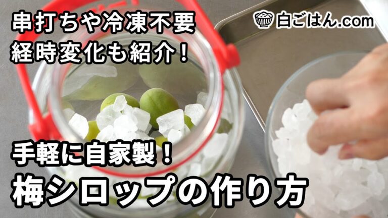 手軽に自家製！梅シロップの作り方／手順も詳しく、経時変化も紹介！