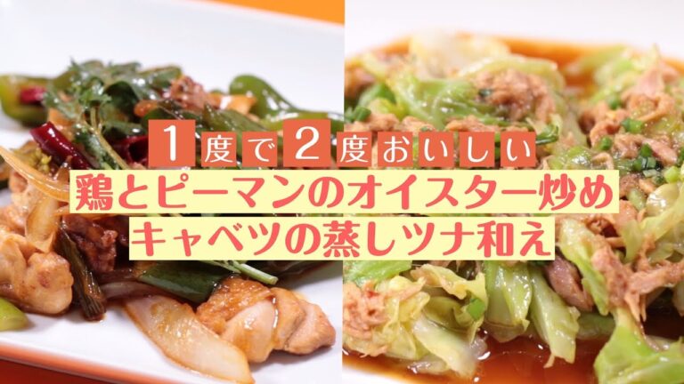 １度で2度おいしい 鶏とピーマンのオイスター炒め キャベツの蒸しツナ和え/ドンキッチン