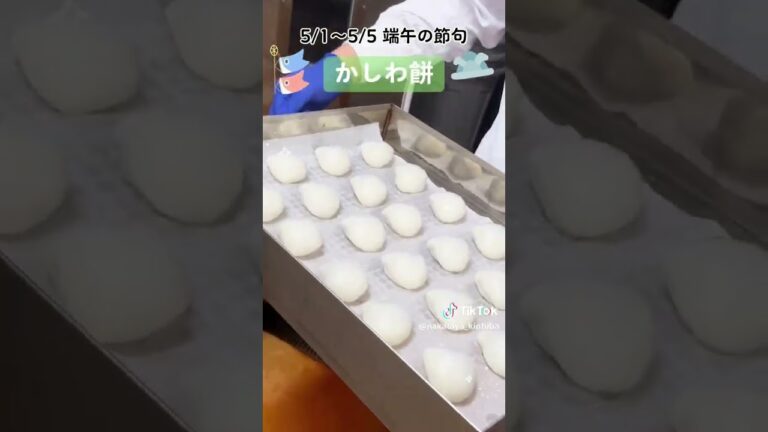 端午の節句　かしわ餅