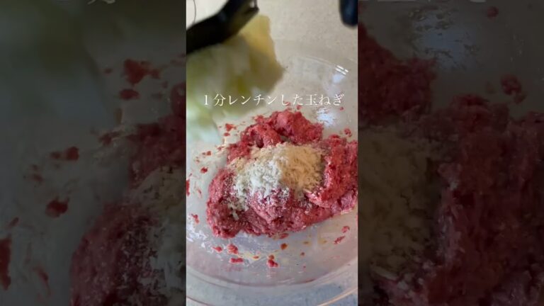 ハヤシ煮込みハンバーグ【前半】肉汁ぶしゃーでとっても美味しかったです🥰#ハンバーグ #おなかすいたいち