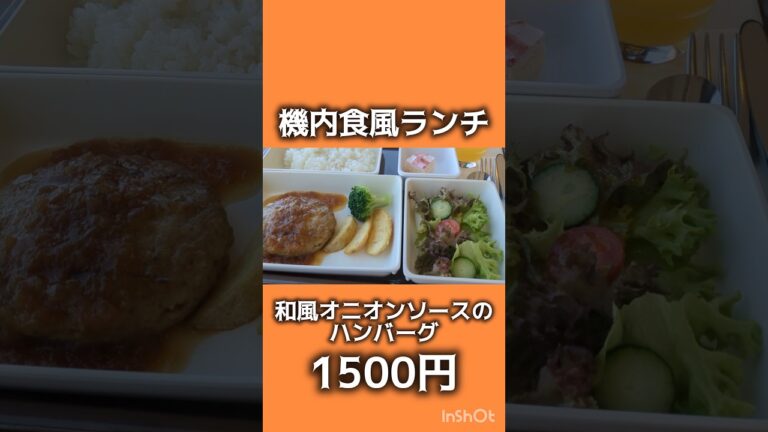 【ランチ】気分は機内食【航空科学博物館】#芝山町