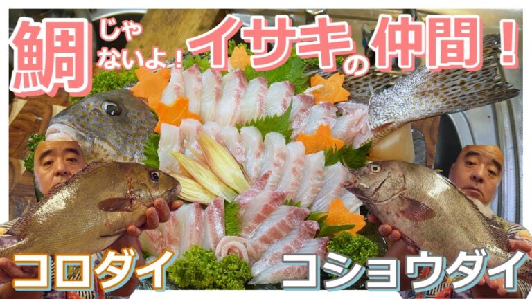 大型コロダイとコショウダイを姿造りとカルパッチョにしてみたら...【料理編】