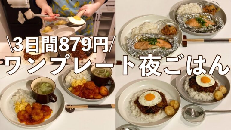 【ワンプレートごはん】節約しながら映えごはん🌟3日分879円/