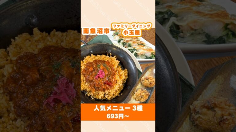 【南魚沼・ファミリーダイニング小玉屋】 人気メニュー3種 693円～ #中華 #ファミレス #shorts