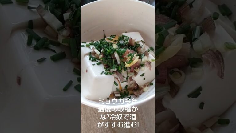 2023年ミョウガ、今年最後の収穫かな?冷奴で酒がすすむ進む!