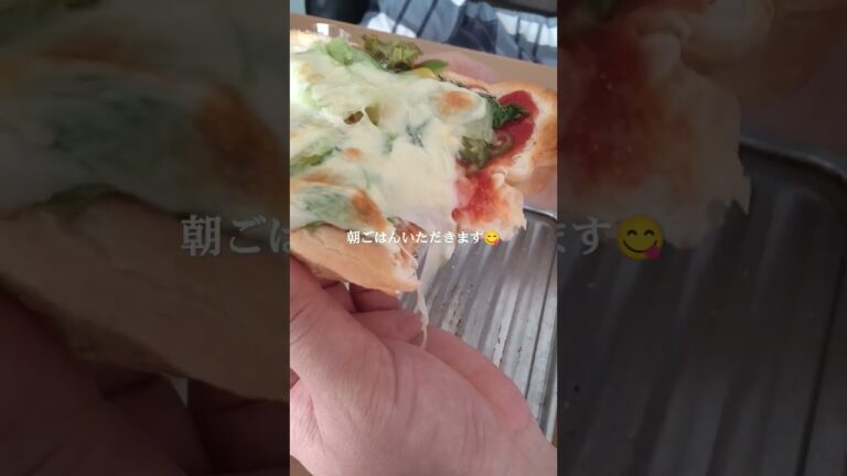 ダブルソフト野菜たっぷりマヨネーズケチャップ塩コショウバジルチーズ焼きパン