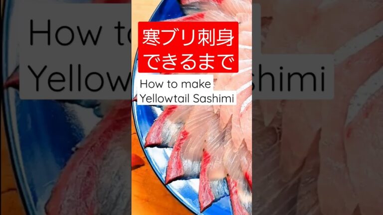 寒ブリ刺身ができるまで How to make yellowtail sashimi #ハウツー #魚 #魚料理 #fish #sashimi #shorts