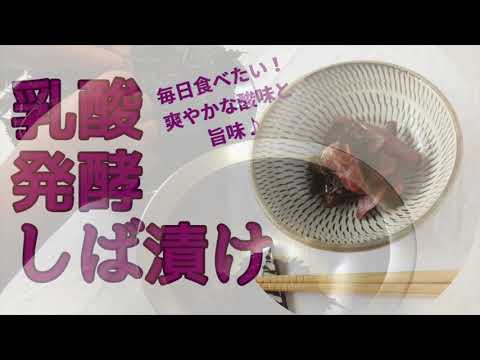 乳酸発酵漬物しば漬け