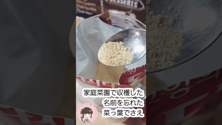 【韓国調味料】カルディで見つけたこのダシダもう使った？めちゃくちゃ旨いよ #shorts #カルディ