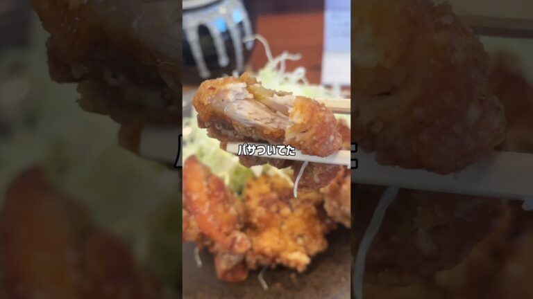 からやまさんの合盛り、これどうなん？ #大阪グルメ #からやま #唐揚げ