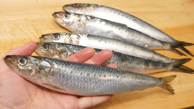イワシの簡単な手開きのさばき方と「つみれ」鍋の作り方