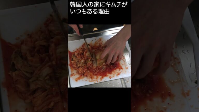 韓国人の家にキムチがいつもある理由#shorts