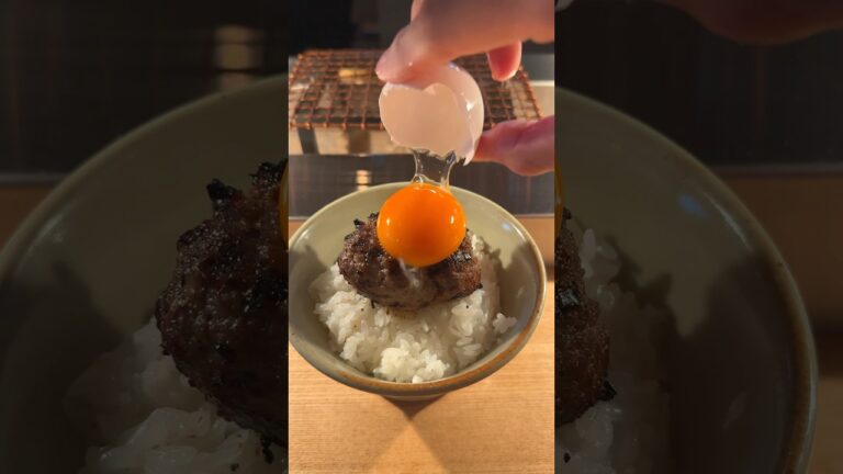 挽肉と米のおいしさを限界まで楽しめる炭火焼きハンバーグ専門店が最高！
