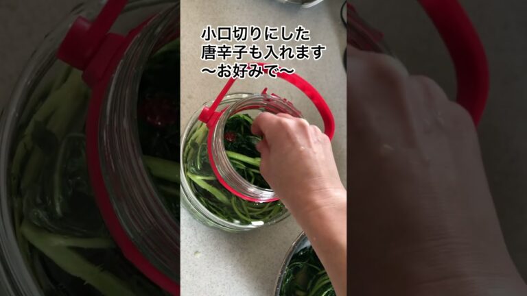 高菜漬けの作り方　春の香り春の味　おうちでできるよ　#shorts