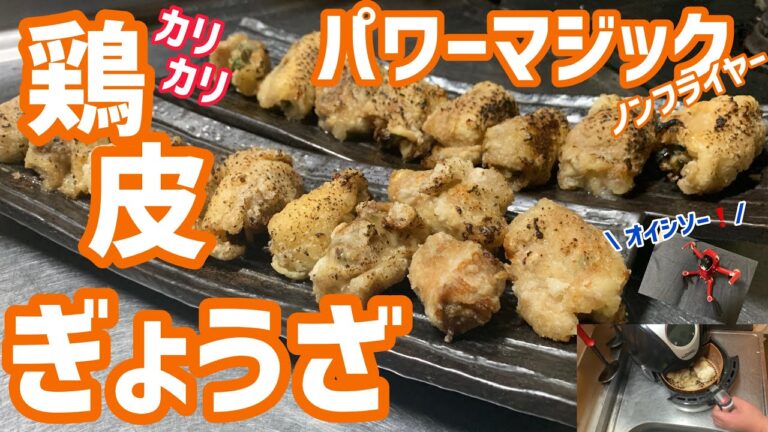 PMフライヤー ノンフライヤー カリカリ鶏皮餃子 おつまみ酒 おかず