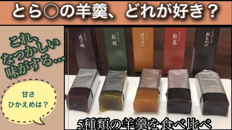 【とらやの羊羹 食べ比べ】老舗の味さすがです #虎屋 #和菓子