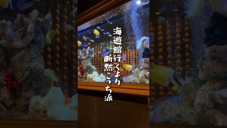 【大阪心斎橋】圧巻のアクアリウム空間で生ドーナツ含む夢のパン食べ放題が千円台！