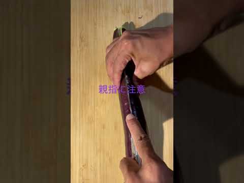 親指が直角？/thumb/Softjoints/長茄子レシピ