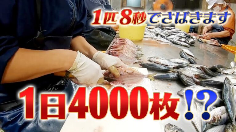 【魚のさばき方】ひもの開き日本一大会優勝店🏆の包丁さばき🔪わずか10秒でアジ🐟を捌く熟練された技術。プロの魚さばきの動画 初心者から主婦の方まで料理をする方必見。静岡県伊東市まるたつ干物センター