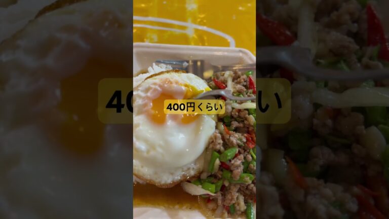 400円くらい！ラオス🇱🇦ヴァンヴィエン #ガパオライス #目玉焼き