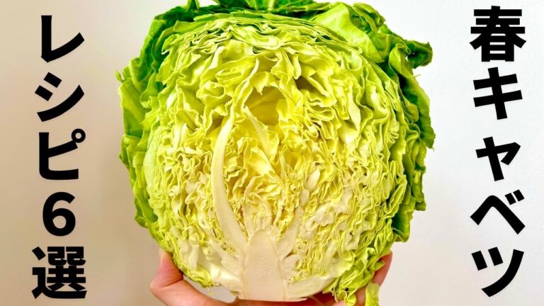 【レンジでできる】元農家おすすめ春キャベツの美味しい食べ方６選｜梅昆布茶浅漬け｜国産レモン浅漬け｜ごま浅漬け｜梅おかか｜コールスロー｜塩昆布｜つくりおきOK