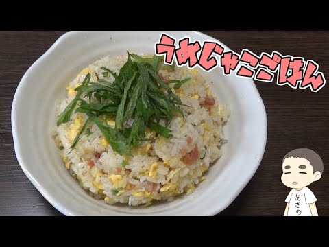 梅とちりめんじゃこの焼き飯をダラダラ作っていくよ【料理動画】