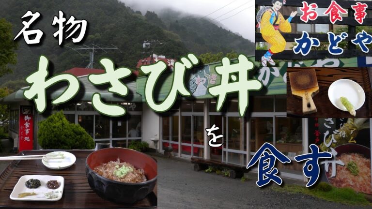 【わさび園】名物生わさび丼を食す【かどや】