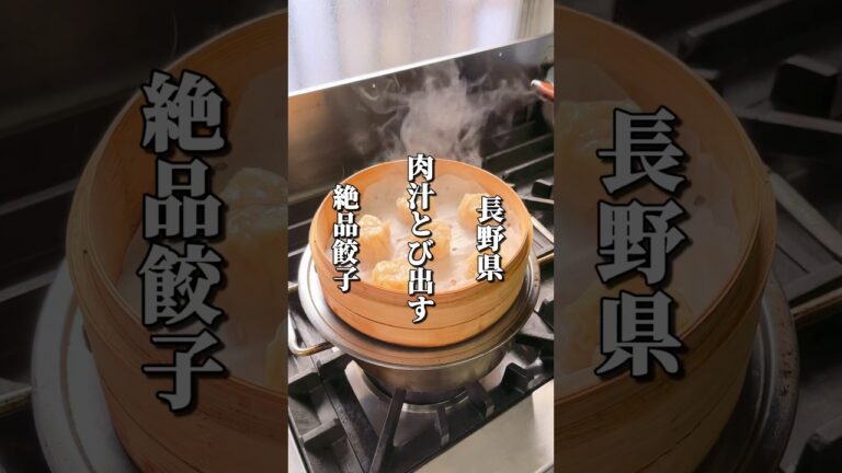 肉汁とび出す絶品餃子が味わえる本格餃子専門店 #長野グルメ #信州グルメ #長野観光 #長野旅行 #長野県 #信州 #長野市 #餃子