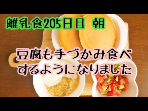 【離乳食 完了期 作り方】新たな豆腐の使い道【1歳赤ちゃん】