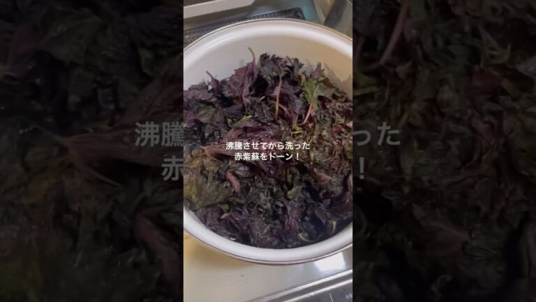 赤紫蘇ジュース作ったよ👩🏻‍🌾#赤紫蘇 #懐かしい #手作りジュース#japan #cooking #赤紫蘇ジュース#紫蘇 #紫蘇ジュース