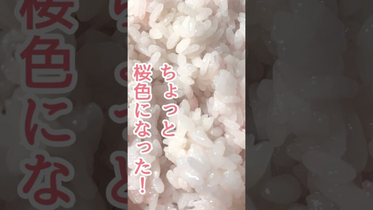 岩下の新生姜を使って春のいなり寿司！