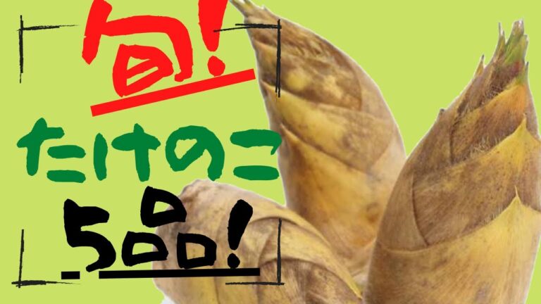 【旬！たけのこ】マイナス7キロダイエット食事記録/たけのこアレンジ！