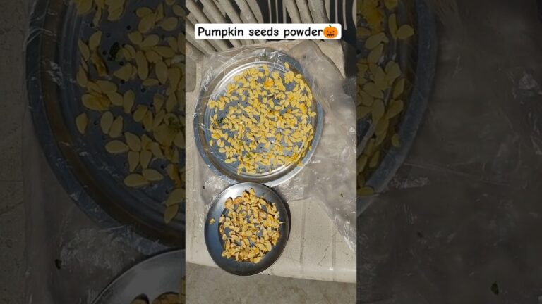 pumpkin 🎃 seeds powder for dogs || #trending #dog #pumpkin ##pets #song #foryou #food #youtubeshorts