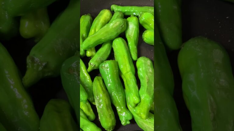 QUICK COOK ☆ししとうきんぴらレシピ②☆ 家庭菜園採れたて獅子唐の料理  cooking vegetables( green pepper ) from farm 2023.07.02