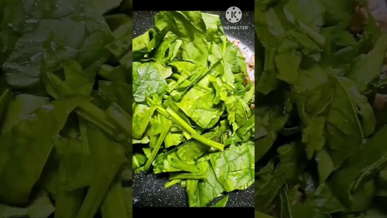 【カレー】具材はひき肉とほうれん草の2つだけ #shorts #short #カレー ある意味ASMRかもしれない【料理】