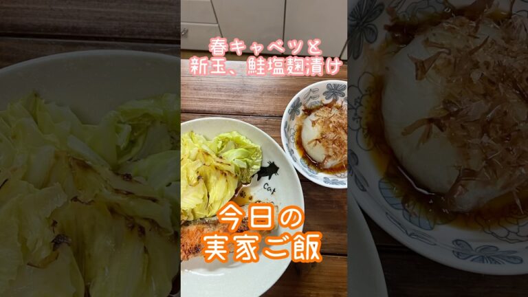 春キャベツと新玉ねぎ、鮭の塩麹漬け#shorts #簡単レシピ #今日の晩ごはん #実家メシ #料理 #おうちごはん #すぐ出来る #cooking #自炊 #音読さん
