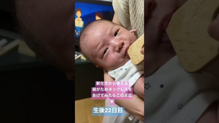 お米の歯がためネックレスを与えたみたら(生後22日目)#新生児 #赤ちゃん #成長記録 #shorts