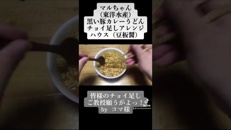 【チョイ足しアレンジ】マルちゃん　黒い豚カレーうどん